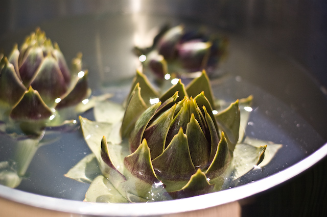 Homegrown Artichokes
