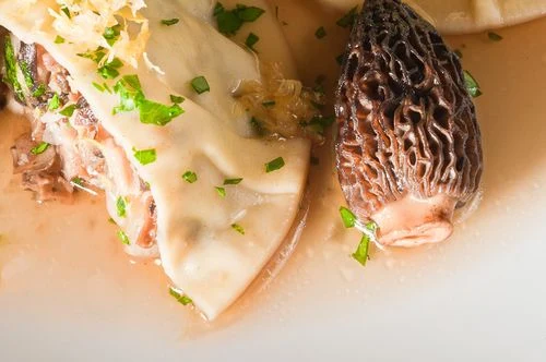 Shiitake and Morel Ravioli Closeup Shiitake and Morel Ravioli Closeup