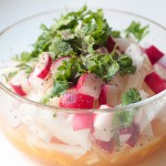 Jicama Orange and Radish Salad