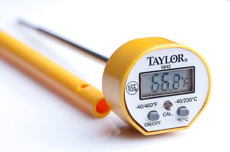 Taylor Stainless Steel Instant Read Kitchen Thermometer